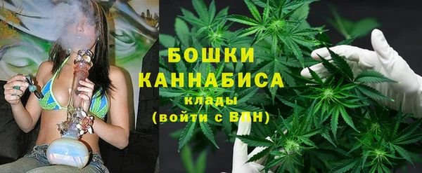 шишки Ростов