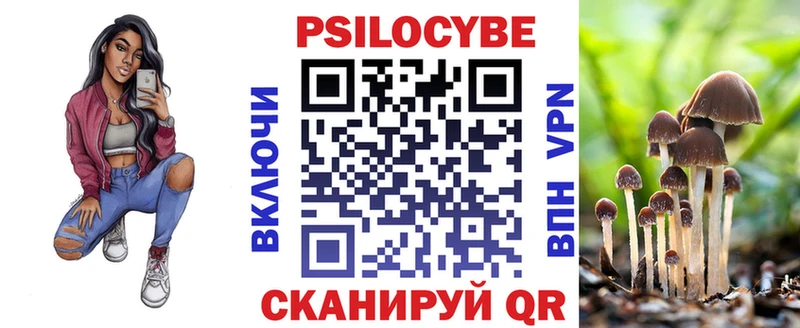 Псилоцибиновые грибы Cubensis  Алзамай 