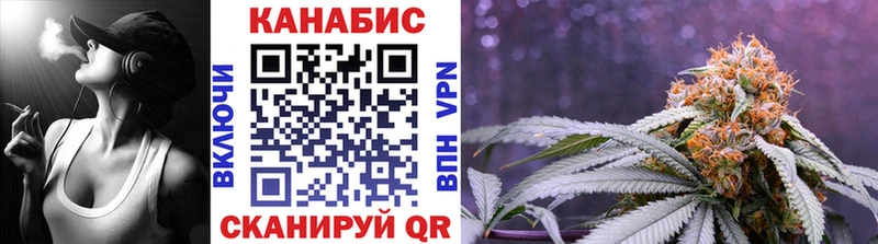 Бошки Шишки сатива Алзамай